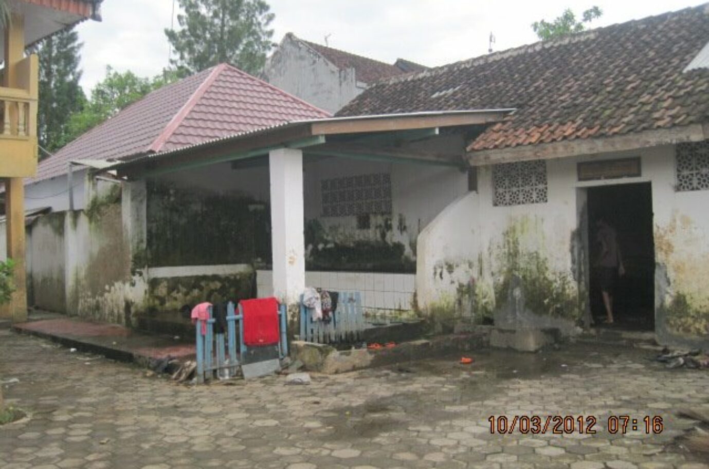 jeding_2012